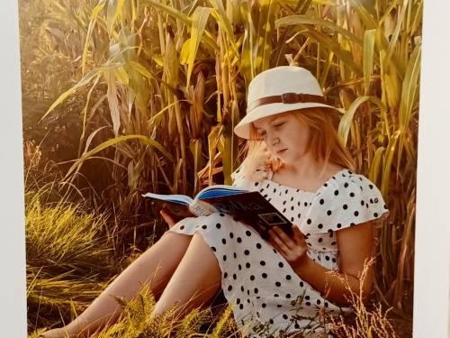 dziewczynka czyta wśród kukurydzy.jpg